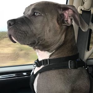 Meet your Posher, Anita